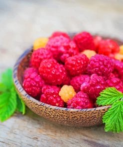 Wineberries in bowl paint by numbers