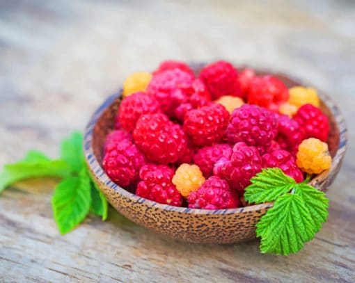 Wineberries in bowl paint by numbers