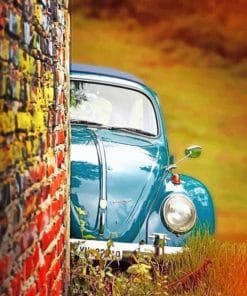 Aesthetic Beetle paint By Numbers