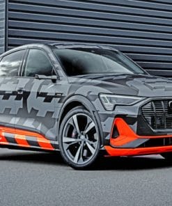 Audi E Tron 2020 paint By Numbers