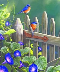 Eastern Blubirds Paint by numbers