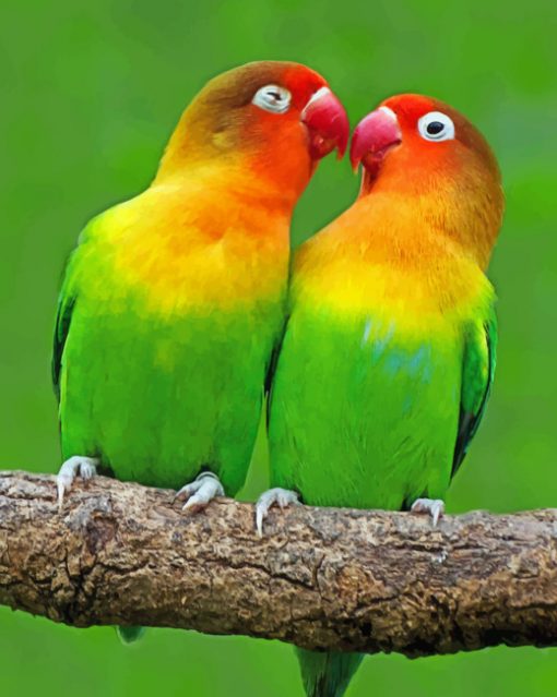 Lovebirds paint By Numbers