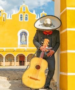 Mexican Guitarist paint by numbers