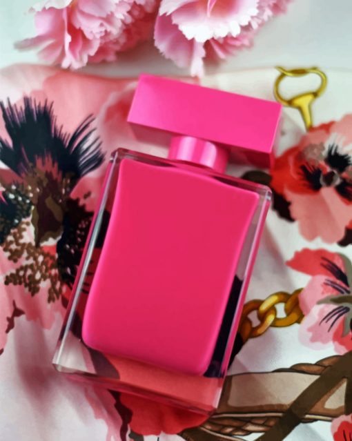 Narciso Rodriguez paint by Numbers