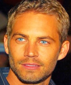 Paul Walker paint By Numbers