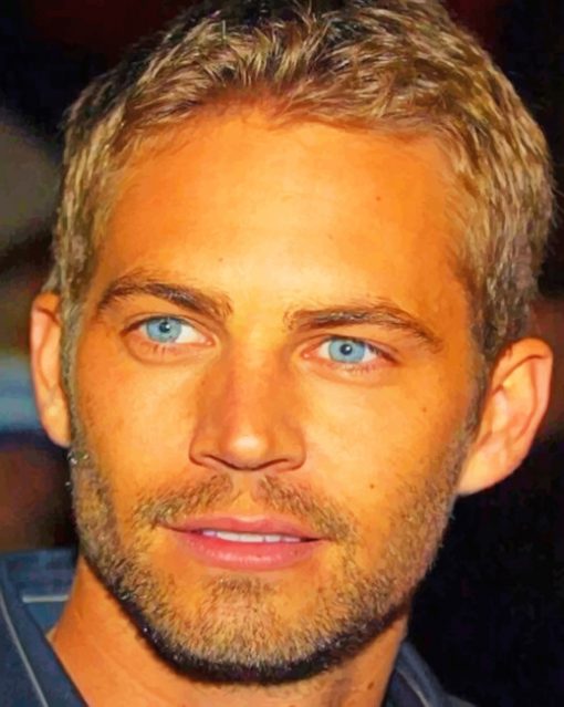 Paul Walker paint By Numbers