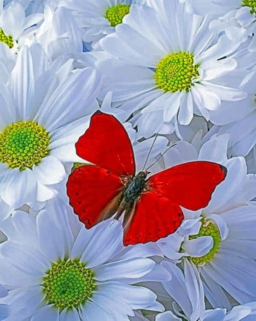 Red Butterfly On White Flower paint by numbers