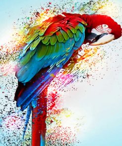 Splash Parrot paint By Numbers