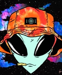 Stoner Alien Paint by Numbers