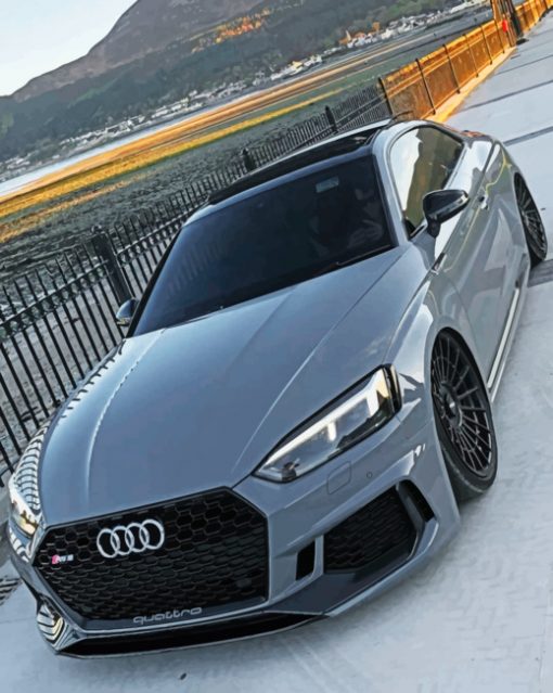 Audi Rs5 paint by Numbers