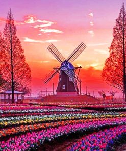 Beautiful Scenery Holland paint By Numbers