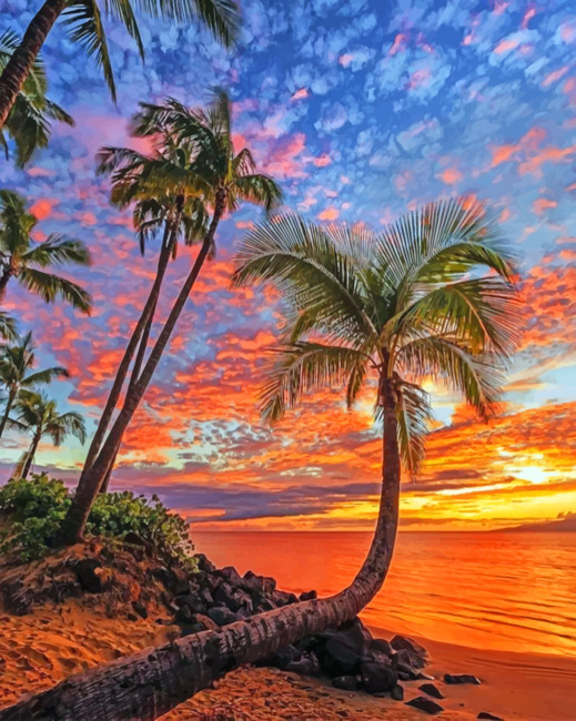 Aesthetic Sunset Aesthetic Sunset