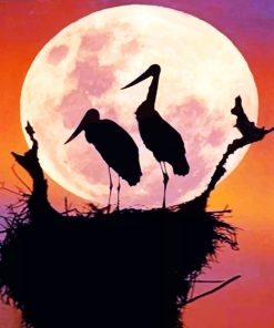 Birds In Night Moon paint By Numbers