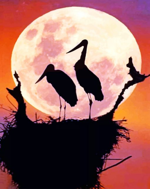 Birds In Night Moon paint By Numbers