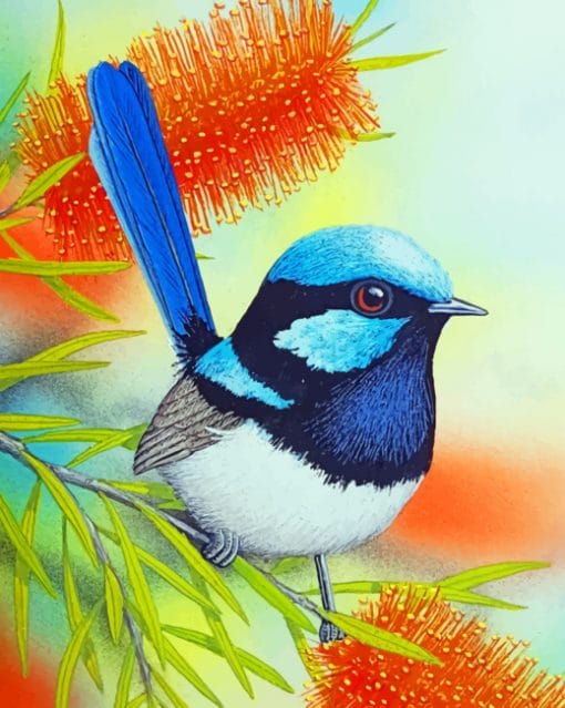 Blue Wren Bird pain by numbers