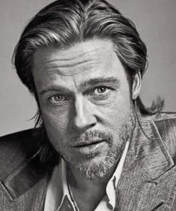 Brad Pitt Portrait paint By Numbers