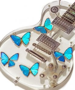 Butterfly Acrylic Guitar paint By Numbers