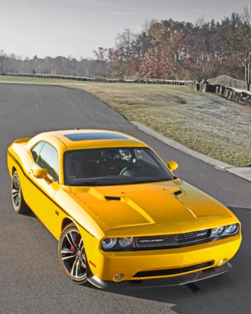 Challenger Yellow Car paint By Nmbers