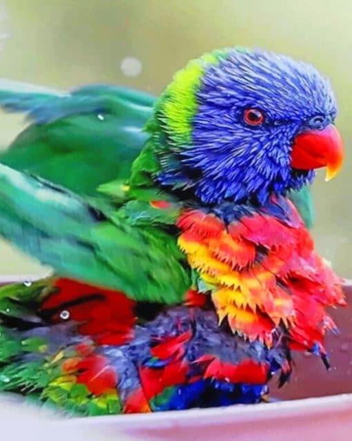 Colorful Baby Bird paint By numbers