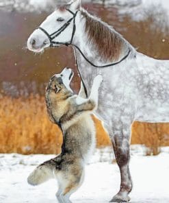 Cute Horse And Dog paint By Numbers