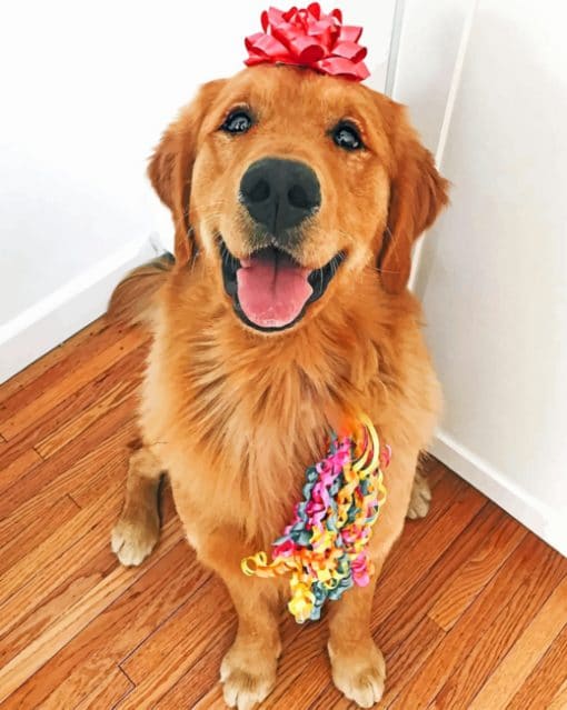 Golden Retriever paint By Numbers