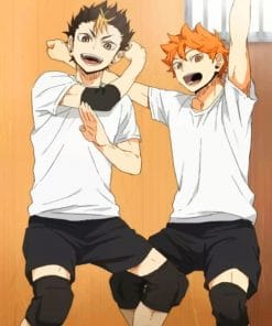 Haikyuu Nishinoya And Hinata paint By Numbers