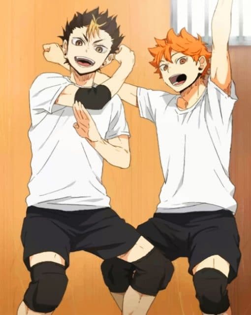 Haikyuu Nishinoya And Hinata paint By Numbers