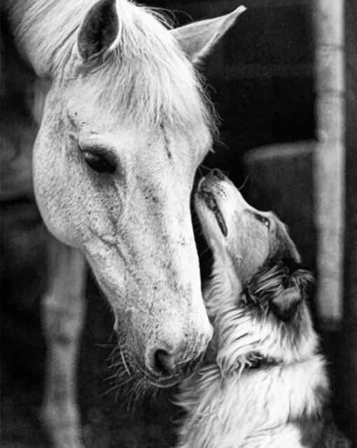 Horse And Dog paint by Numbers