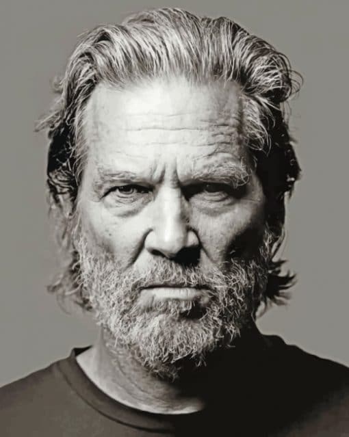 Jeff Bridges Portrait paint by numbers