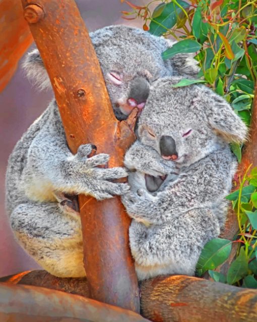 Koala Bears On Tree paint By Numbers