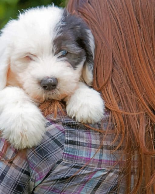 Lady Holding White Puppy paint By Numbers