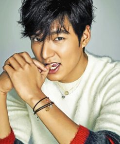 Lee Min Ho paint By Numbers