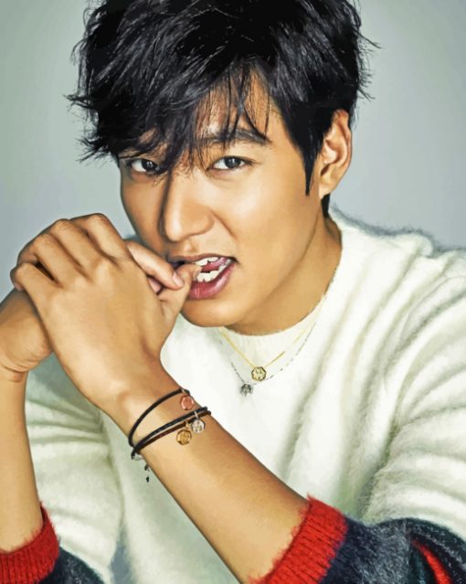 Lee Min Ho paint By Numbers