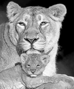 Lioness And Cub paint By Numbers