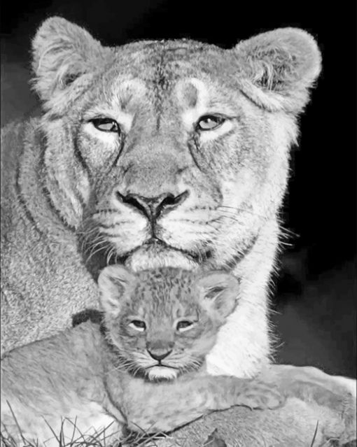 Lioness And Cub paint By Numbers