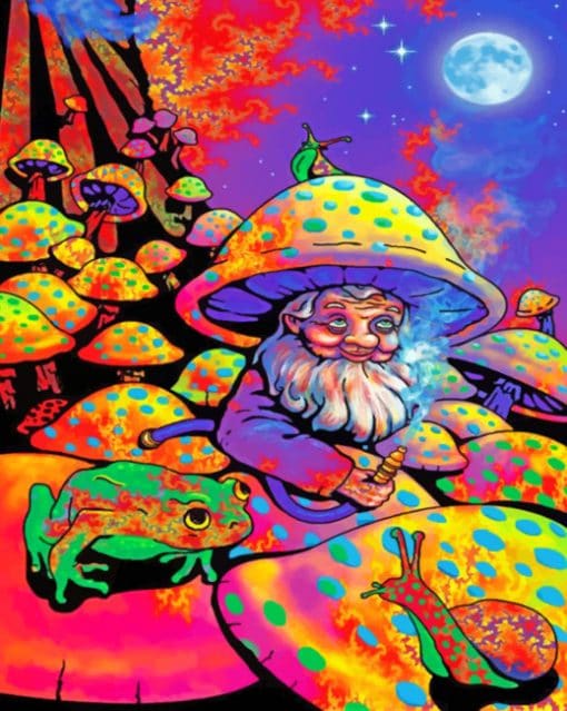 Mushroom Man Poster paint By Numbers