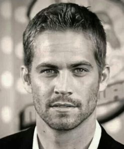 Paul Walker Portrait paint By Numbers