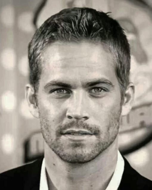 Paul Walker Portrait paint By Numbers