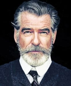 Pierce Brosnan paint By Numbers