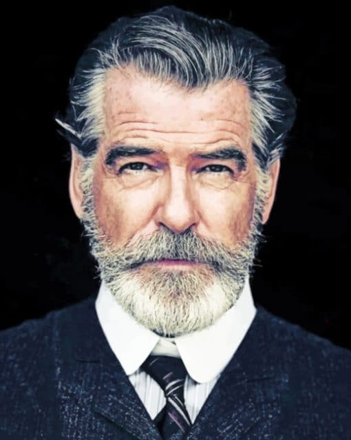 Pierce Brosnan paint By Numbers