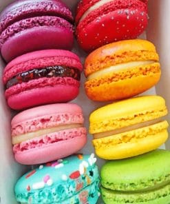 Rainbow Macaroons paint By Numbers