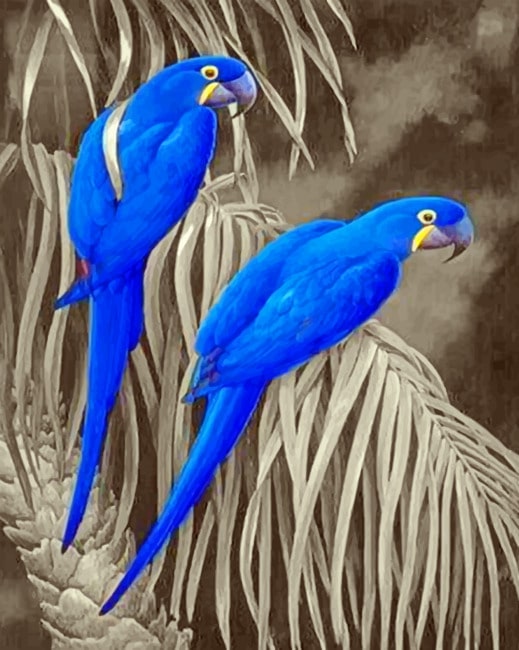 Royal Blue Parrot paint By Numbers
