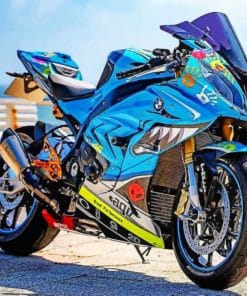 S1000 rr paint By Numbers