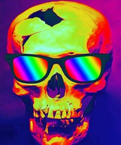 Skull With Sunglasses paint By Numbers