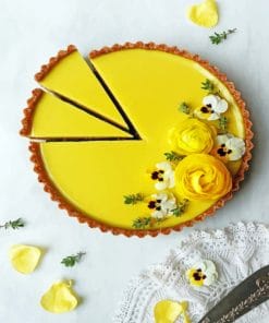 Vegan Tart paint By Numbers