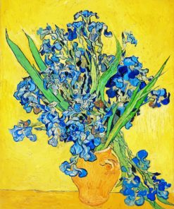 Vincent Van Gogh Irises paint By Numbers