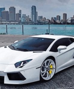 White Lamborghini paint by Numbers