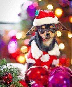 Chihuahua Christmas paint by numbers