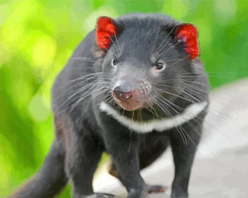 australian-tasmanian-devil-paint-by-number