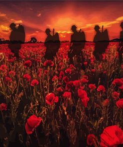 Soldiers Poppy Field paint by numbers